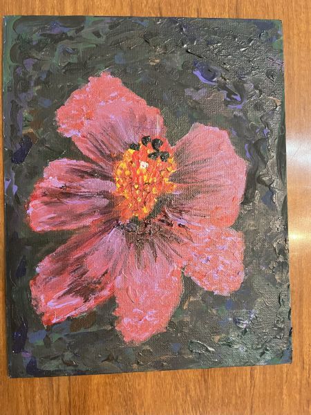 A red hibiscus flower against a dark flower